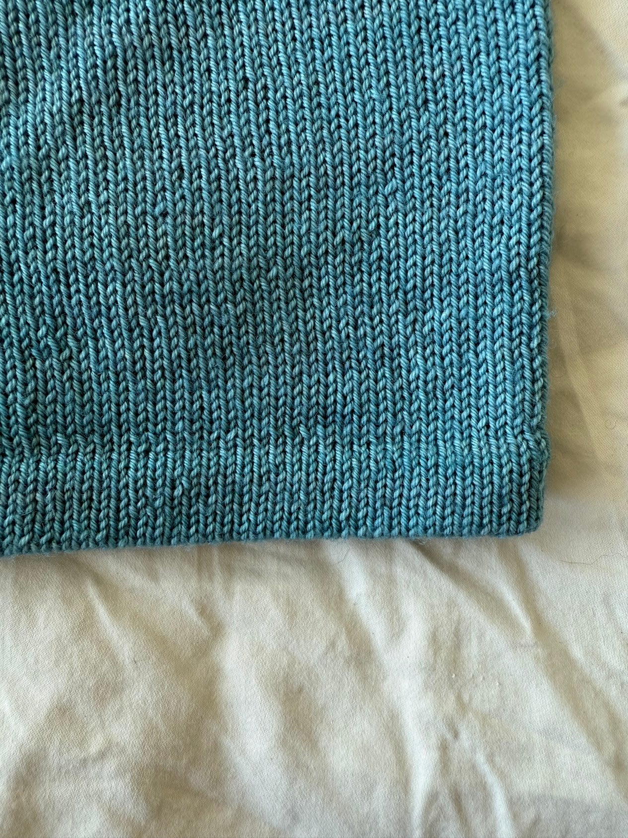 Palm Springs Tank - Digital Pattern Download